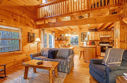 Lake Lure Cabin | Private log home with lake/beach/River/Mountains/HOT TUB/Canoes/Pets.