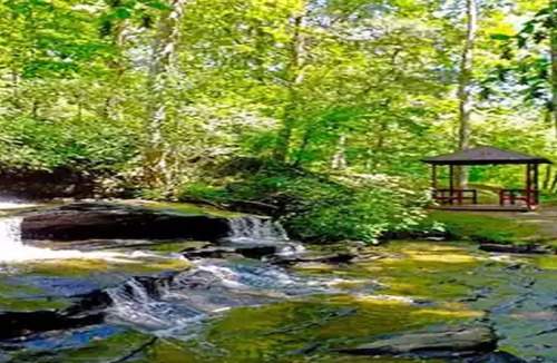 Lake Lure Cabin | Private log home with lake/beach/River/Mountains/HOT TUB/Canoes/Pets.