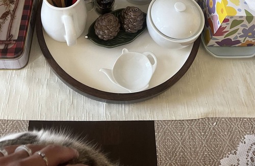 Oakley House | private master bedroom suite