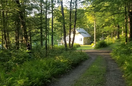 Eden Cabin | Private Mountain Pond Cabin, is for sale, 275,000, text owner for information