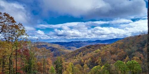 Laurel Ridge House | Private Mountain Sanctuary Cabin Surrounded by Protected Forest in Black Mountain, North Carolina