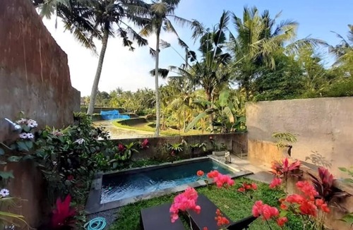 Penestanan Villa | Private One BD with Pool Overlooking to Rice Fields By Hidden Point Villann