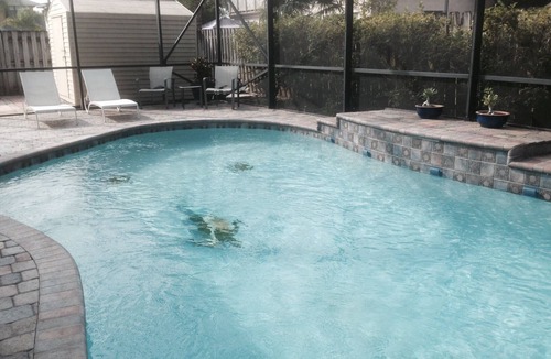 Sunrise House | PRIVATE PARADISE VACATION HOME W/POOL - QUICK RESPONSE