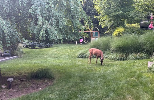 Henryville House | Private Pocono Getaway - Pet Friendly