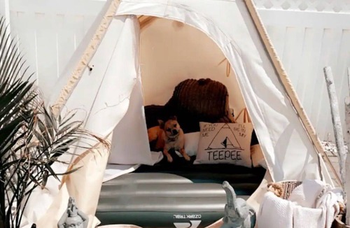 Point Pleasant Beach House | Private Resort Like Oasis in Point Pleasant