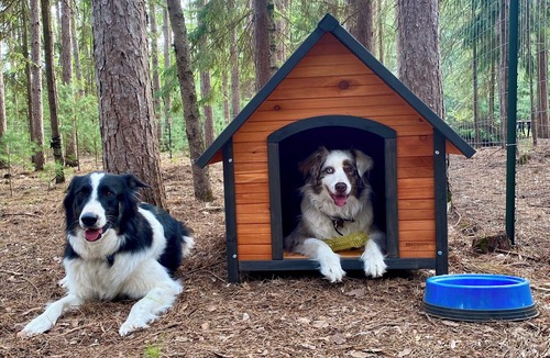 Adams County Cabin | Private “readaway” retreat. Enjoy quality time, unwind and reset. Dog friendly.