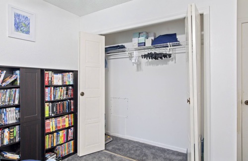 Lutz House | Private Room, Bath and Entertainment!