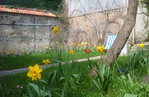 Malakoff House | Private room, Breakfast and Garden