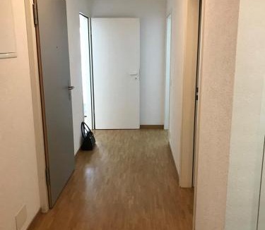 Lancy House | Private room in new apartment, Chemin Daniel Ihly, Lancy
