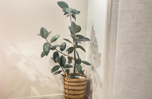 Glenfield House | Private room with separate bathroom and carpark