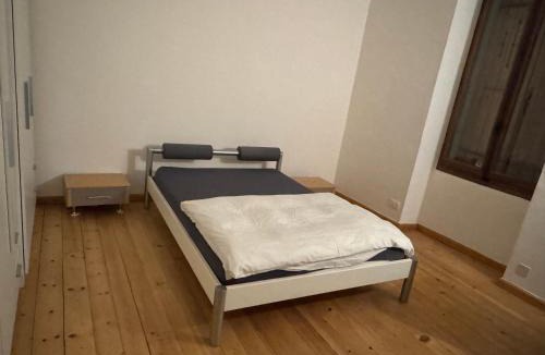 Saint-Jean and Charmilles House | Private Rooms in big villa next to Planet Charmilles