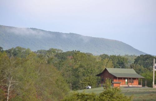 Smithville Cabin | Private, secluded cabin