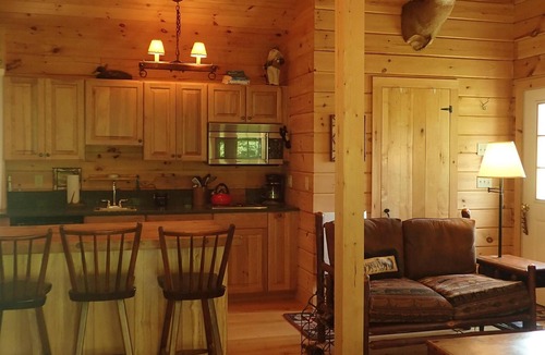 Londonderry Cabin | Private secluded trout cabin- sleeps 2