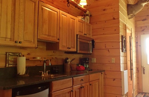 Londonderry Cabin | Private secluded trout cabin- sleeps 2