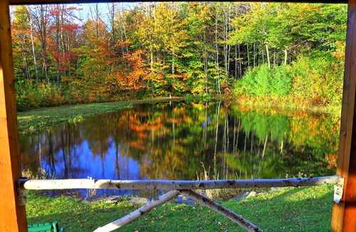 Londonderry Cabin | Private secluded trout cabin- sleeps 2