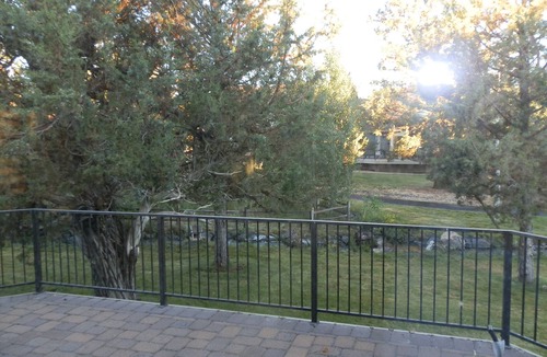 Redmond House | Private, serene, & supremely comfortable…and dog friendly too!