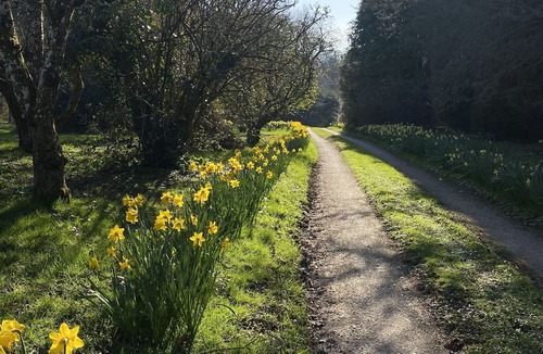 Eleighwater Cabin | Private Shepherd’s Hut