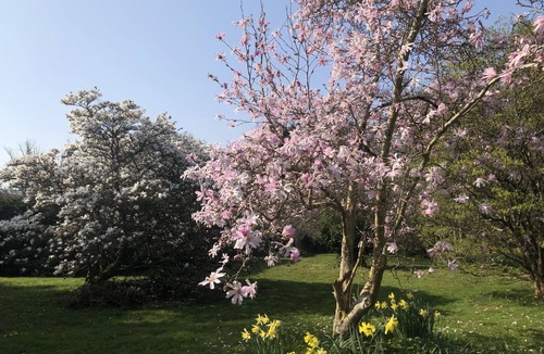 Eleighwater Cabin | Private Shepherd’s Hut