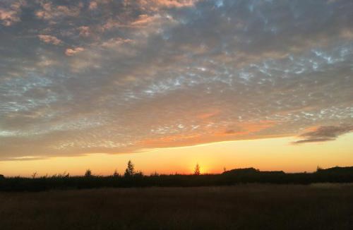 Redmile Apartment | Private Shepherds hut with Castle view