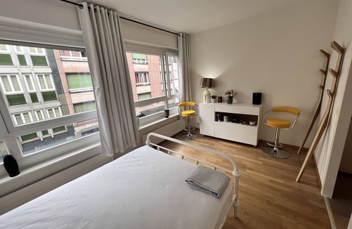 Downtown Geneva Apartment | Private Stylish Studio City Centre Paquis