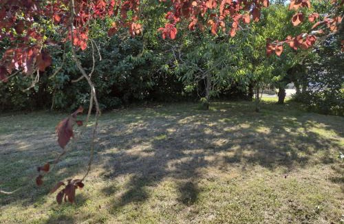 Genouille House | Private-Tranquil-Peaceful-Garden-Bbq