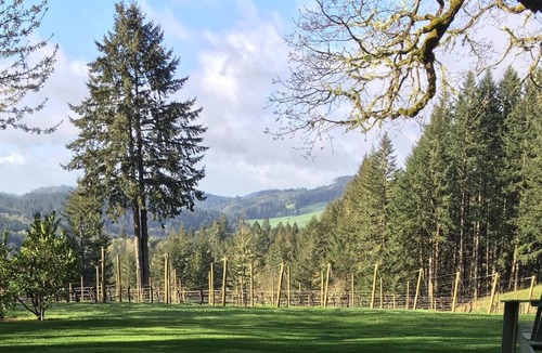 McMinnville Cabin | Private Vineyard Cabin in the Heart of Wine Country