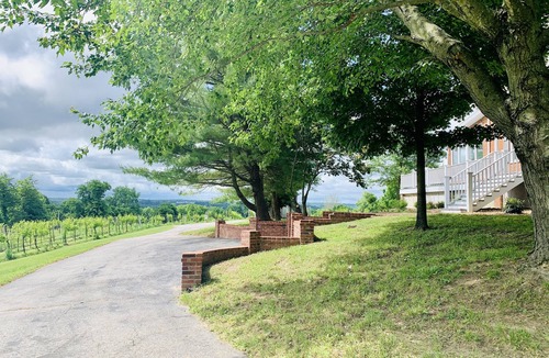 Augusta House | Private Vineyard