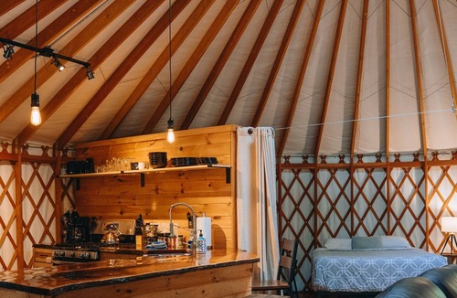 Baldwin Cabin | Private Yurt on 20 Wooded Acres, Pet-Friendly