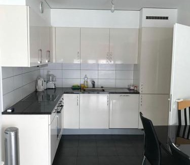 Lancy House | Prive room in new apartment at Chemin Daniel Ihly, Petit Lancy