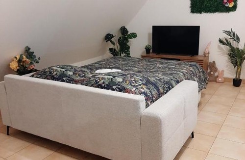 Tille Apartment | proche aéroport a pied O fleuri