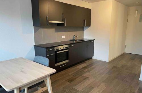 Prilly Apartment | Proche Lausanne: Studio bien équipé