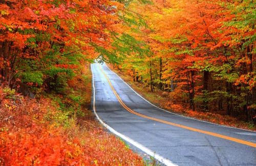 Proctor House | Proctor Stays