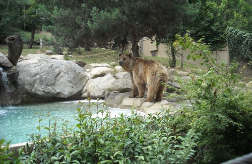 Argeles Gazost Apartment | PROMO 05/05-16/05 BEL APPART 3* PROCHE THERMES, COMMERCES, VUE PANORAMIQUE WIFI