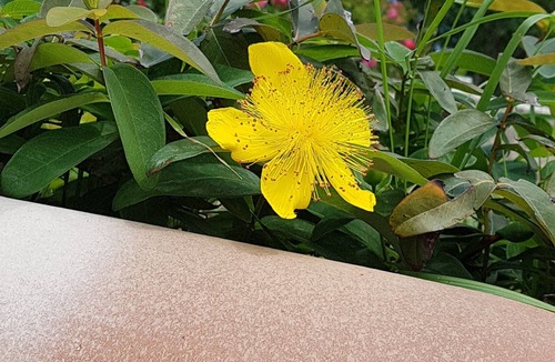 Lazer Apartment | PROPERTY SAINT JEAN