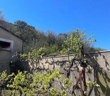 Saint-Hippolyte-du-Fort Villa | Propriété d'exception avec piscine - Les Cévennes