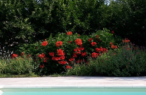 Caderousse House | PROVENCAL FAMILY HOME IN STONE WITH SWIMMING POOL