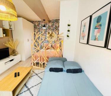 Provins Apartment | Provins au coeur du quartier historique - Charmant studio pour 2