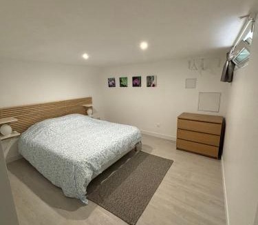 Saint-Maur Creteil Apartment | Proximité RER A , souplex tout confort, 2 chambres