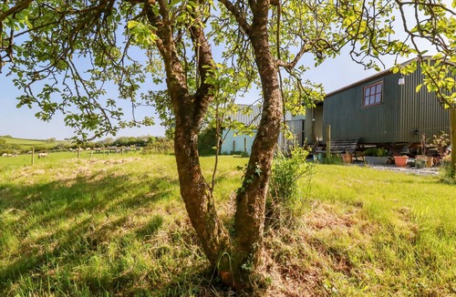 Brazzacott Cottage | PUDDLE DUCK SHEPHERDS HUT, pet friendly in Crackington Haven