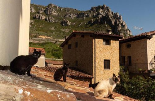 Pancorbo Apartment | PUENTECUERVO BAJO