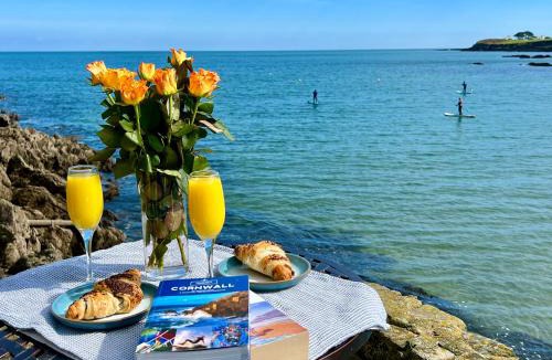 Portmellon House | Puffin Burrow