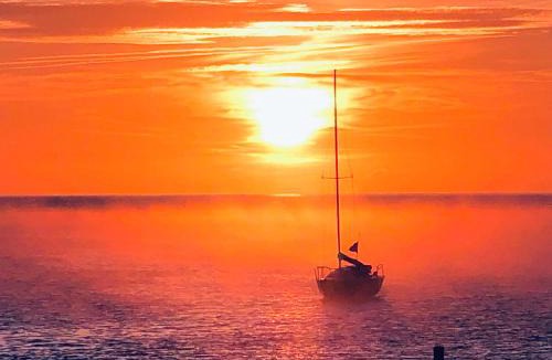 Portmellon House | Puffin Burrow