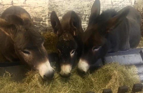 John O'Groats Bed & Breakfast | Puffin Cottage