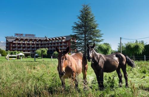 Puigcerda Hotel | Puigcerda Park Hotel