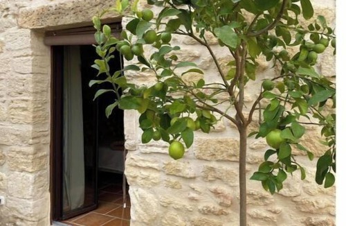Pujaut House | Pujaut, Gard, provence, Avignon, Gîte cœur de village "sous le clocher