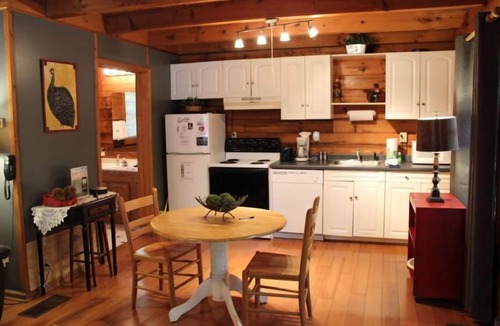 Sautee Nacoochee Cabin | Puppy Love - Romantic Mountain Getaway