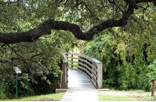 San Antonio House | PURE ELEGANCE nSan Antonio's Royal Paradise 3 bedroom 2 bath