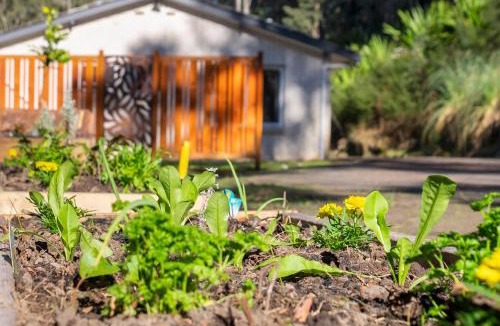 Lower Mangrove House | Pure Valley Estate