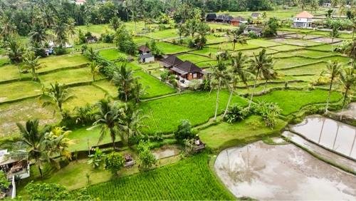 Tampaksiring House | Puri Acyuta