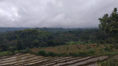 Kalangbret Villa | Puri kahuripan
